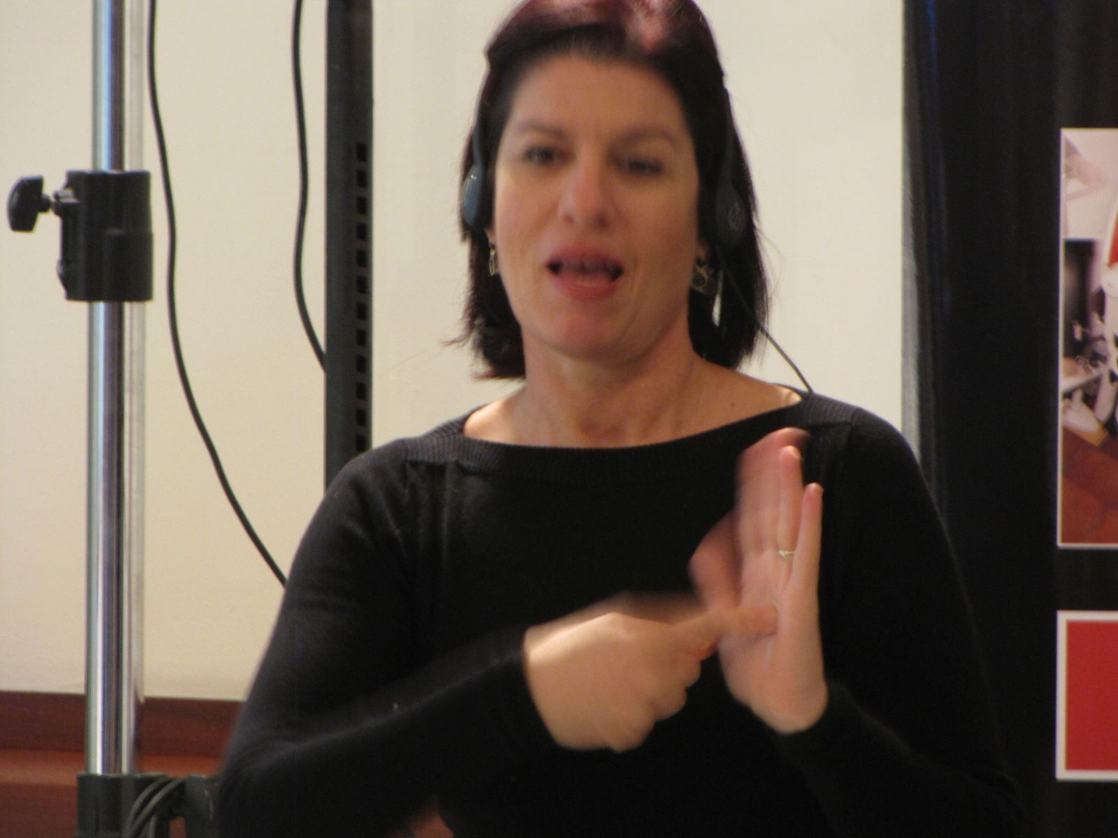 Roni-Ben-Dor-sign-language-interpreter-1