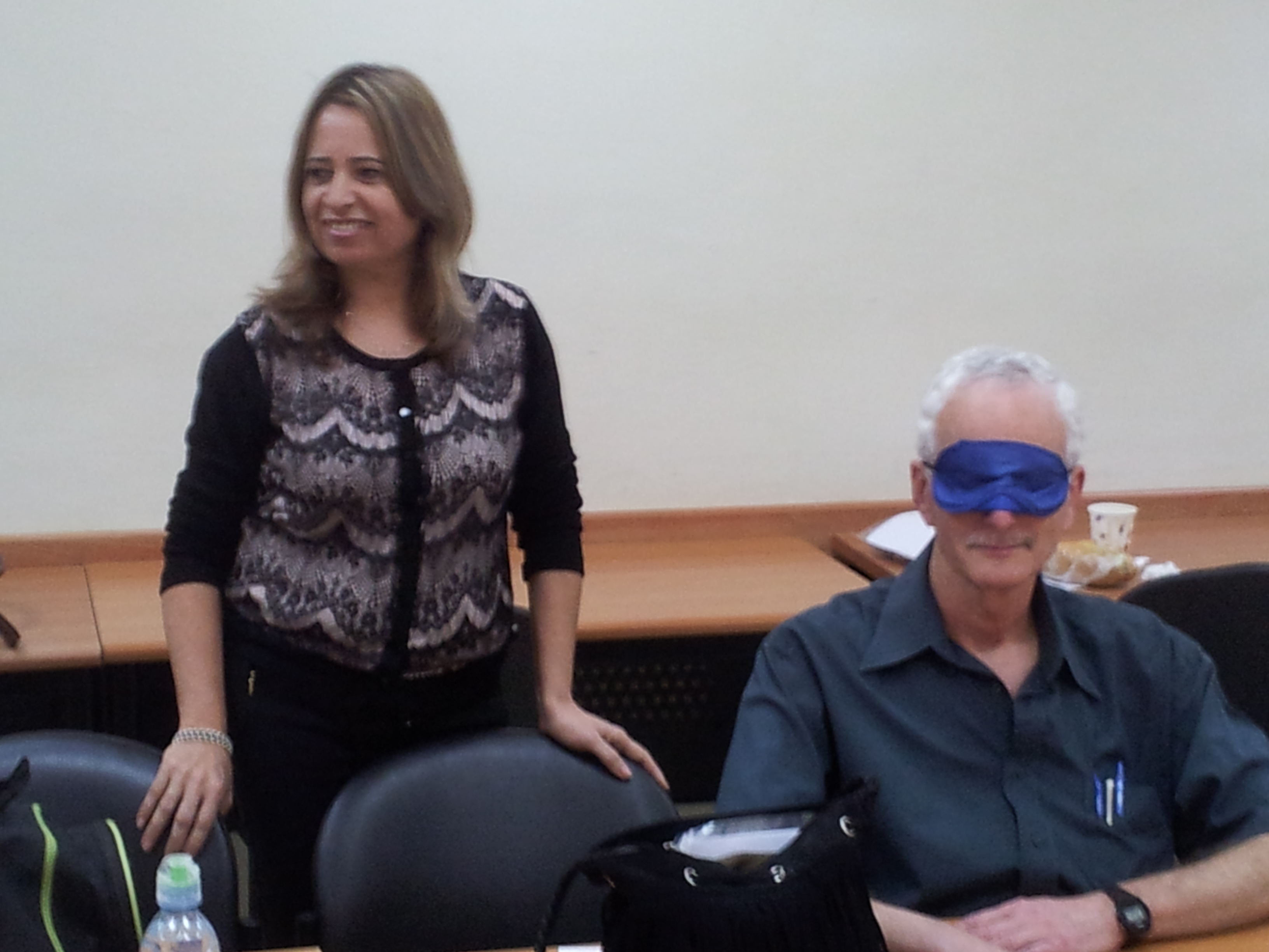 התנסות במוגבלות ראייה