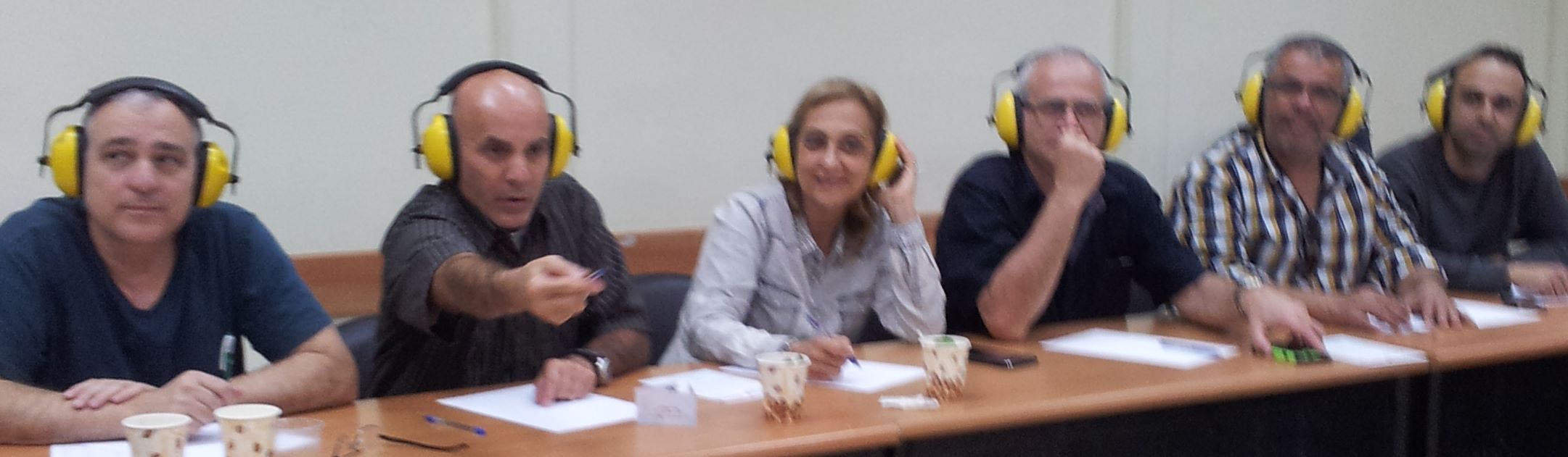 תקשורת מוגבלת